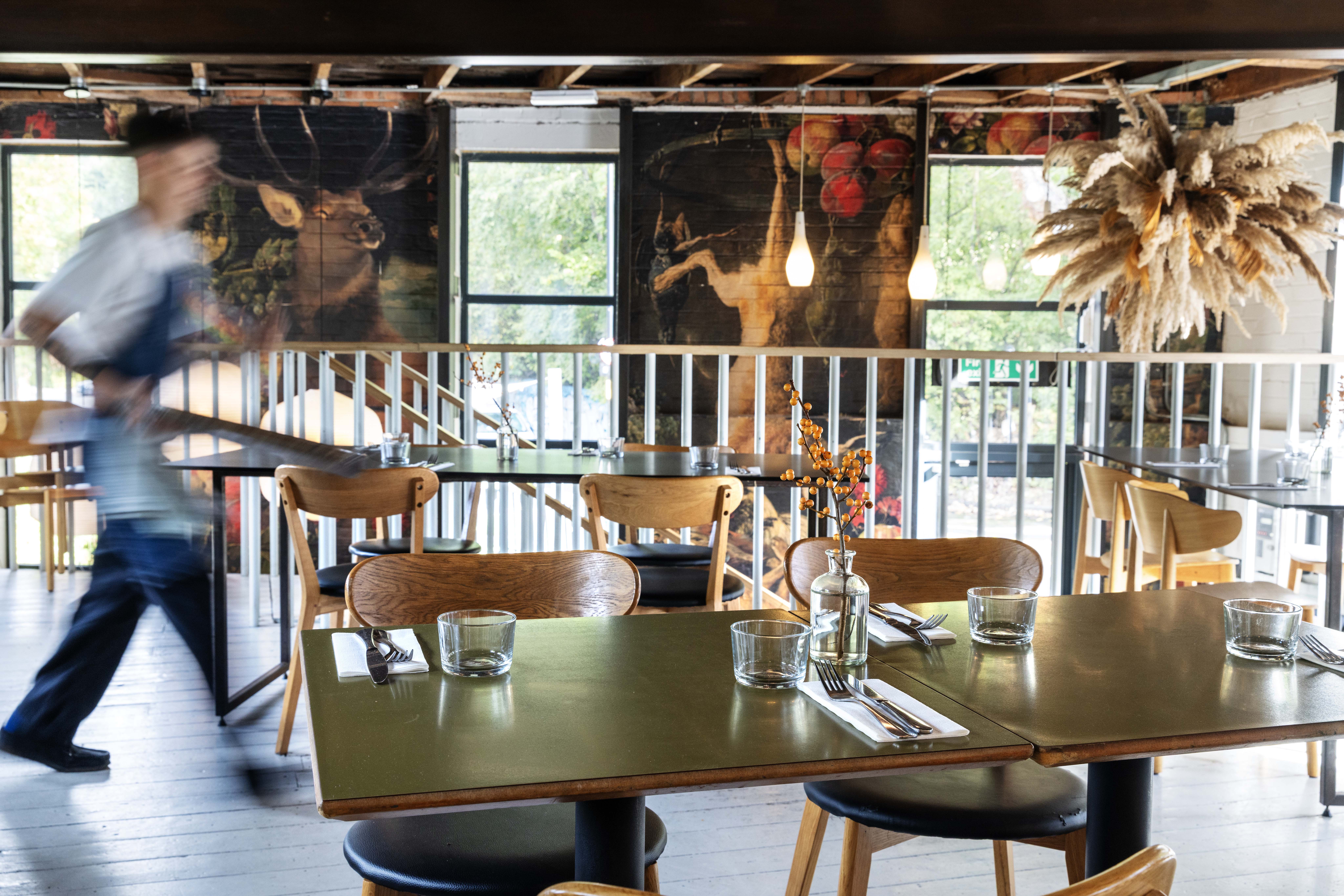 Cook House, Newcastle: ‘Relaxed, exciting, intimate’