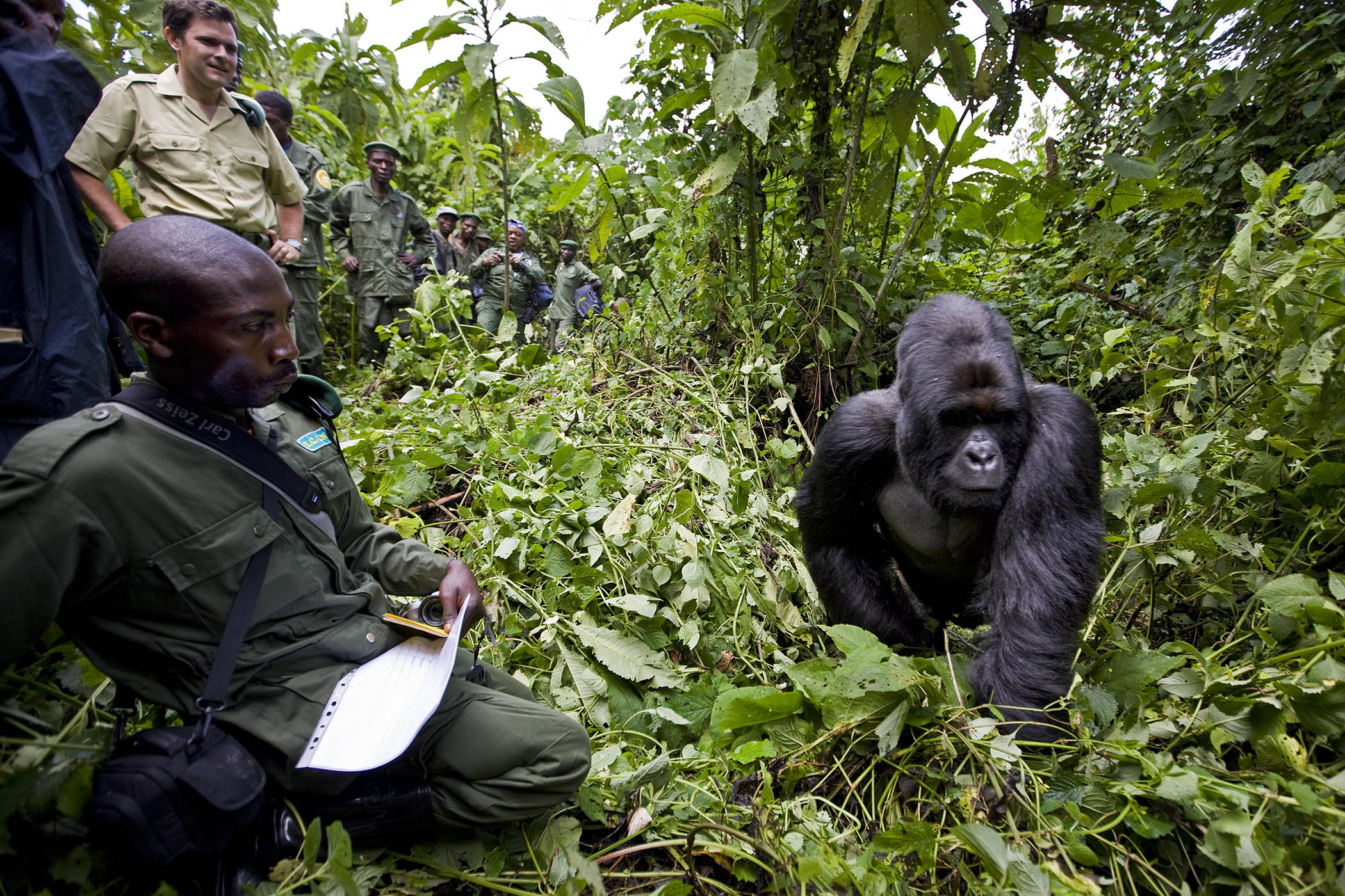 Conservation projects abandoned as rich countries retreat from climate fight