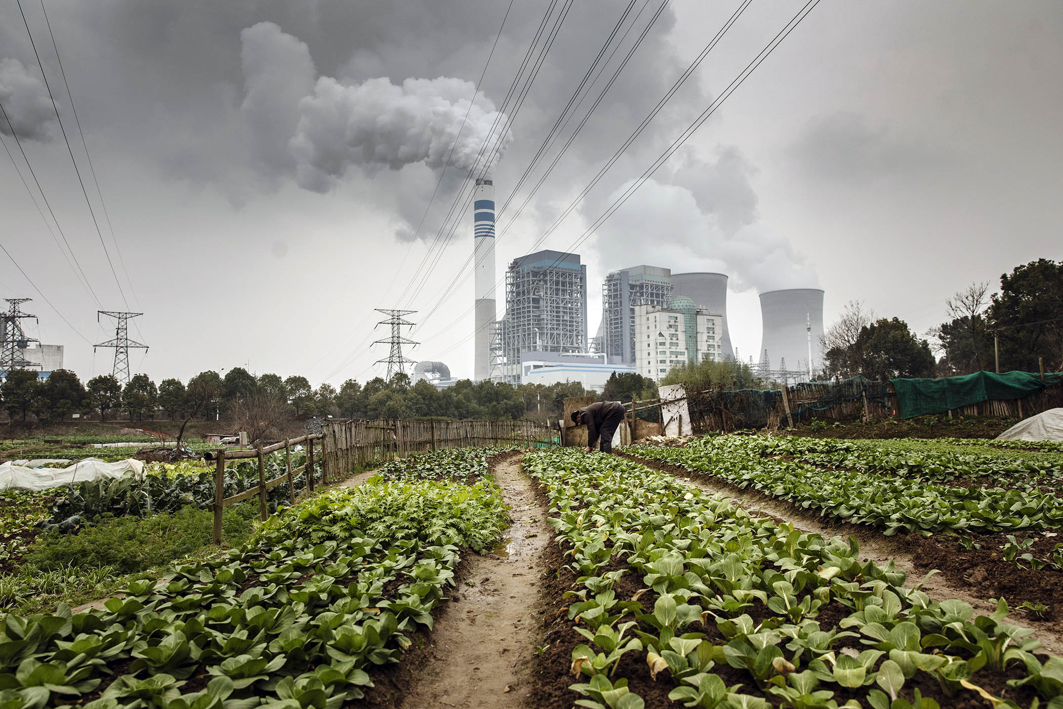 China races ahead on renewables amid green tech boom