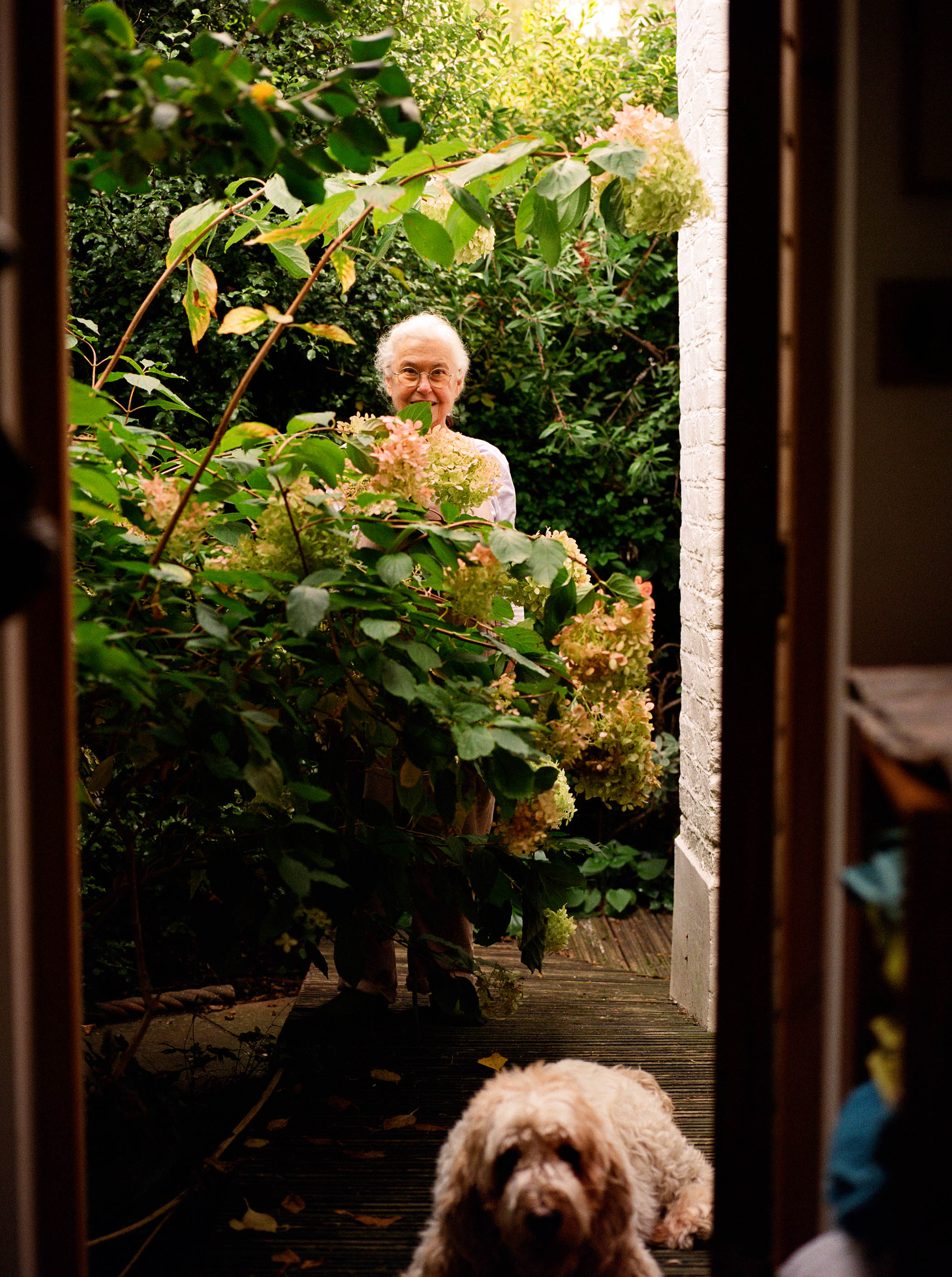 Blooms with a view: in the garden with Lobos