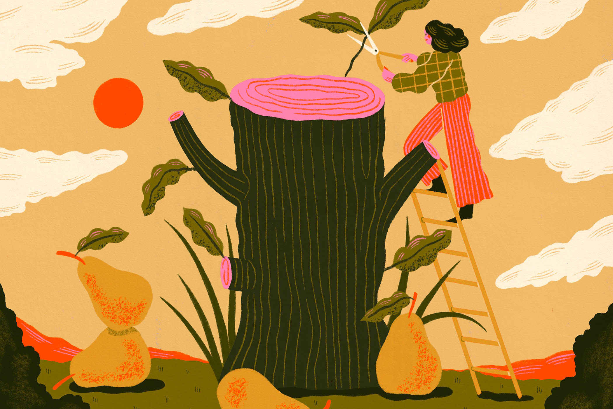 Pruning is nothing to fear