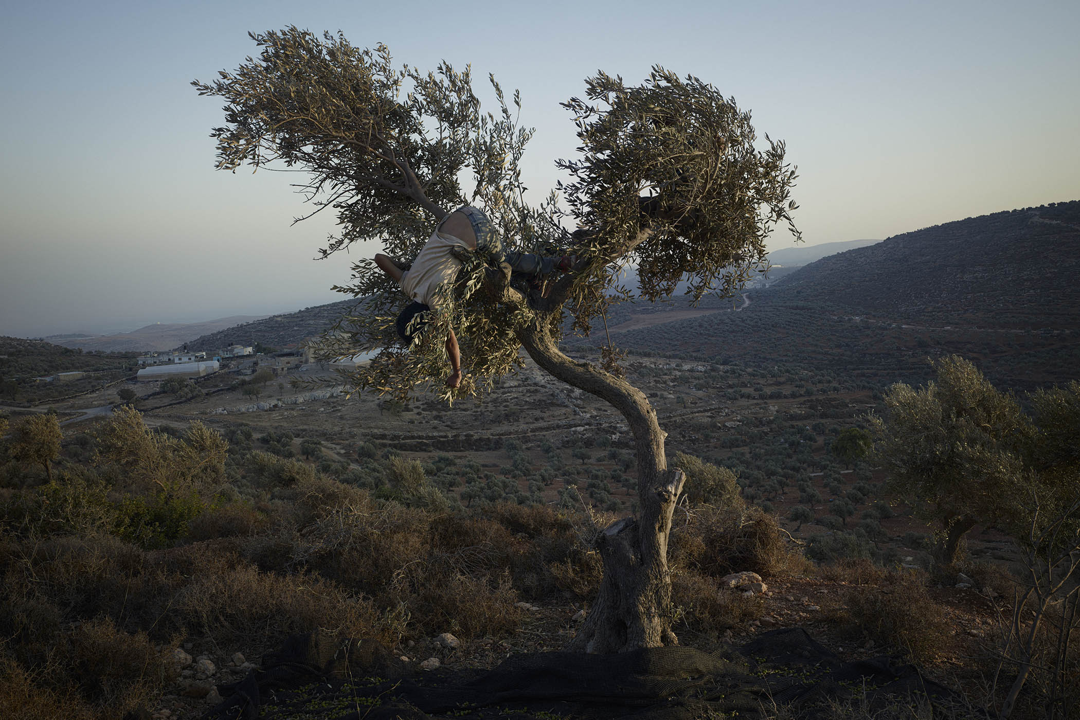 The big picture: Luc Delahaye’s precarious Palestinian