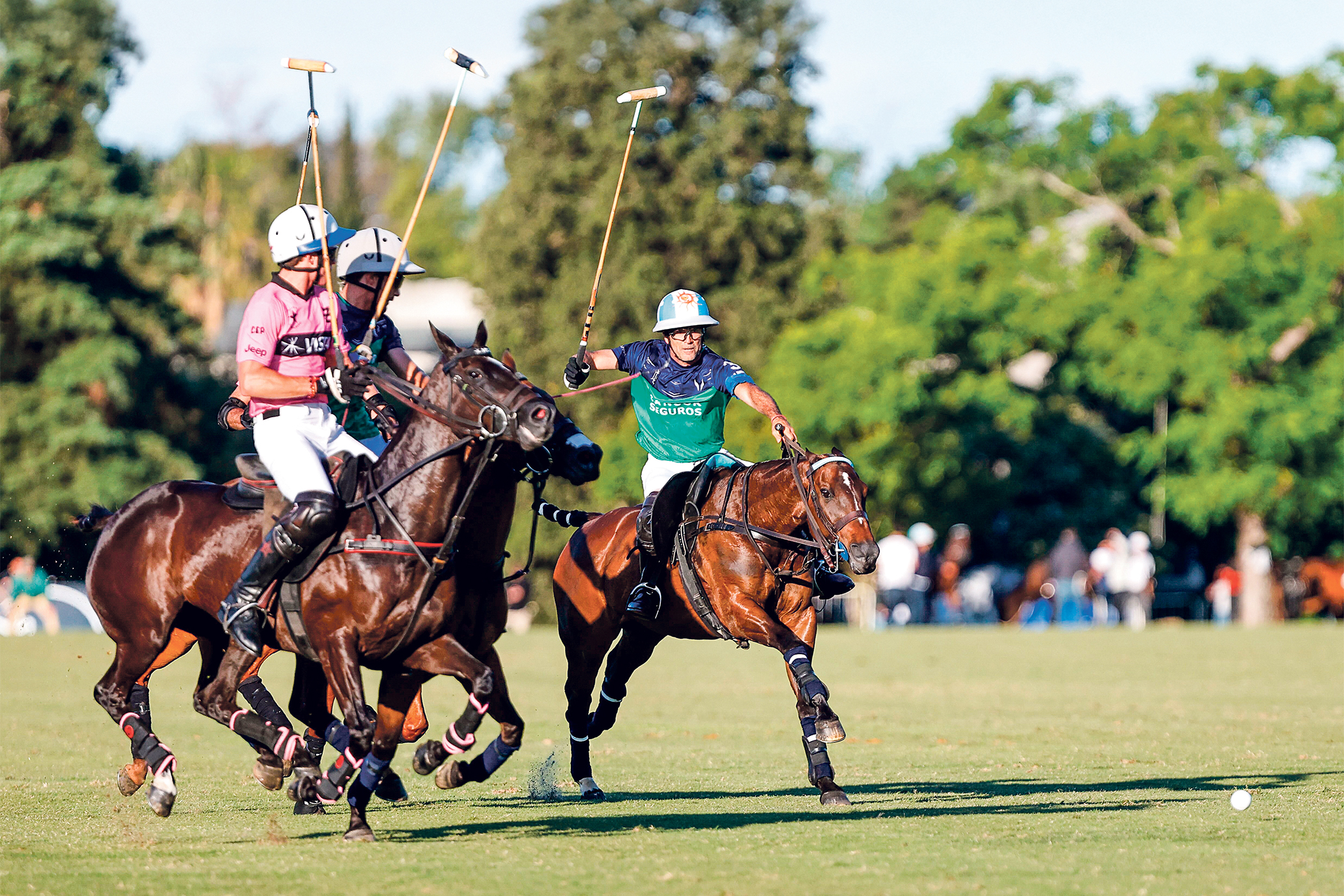 Polo’s GOAT is right out of the pages of a Jilly Cooper novel