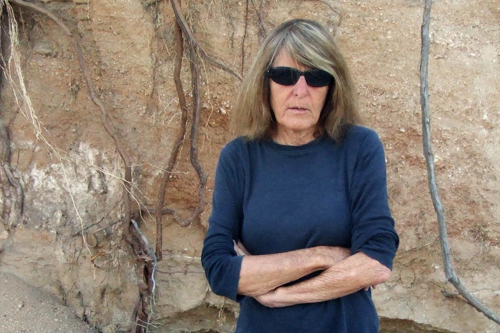 Paperback of the week: Pelican Child by Joy Williams
