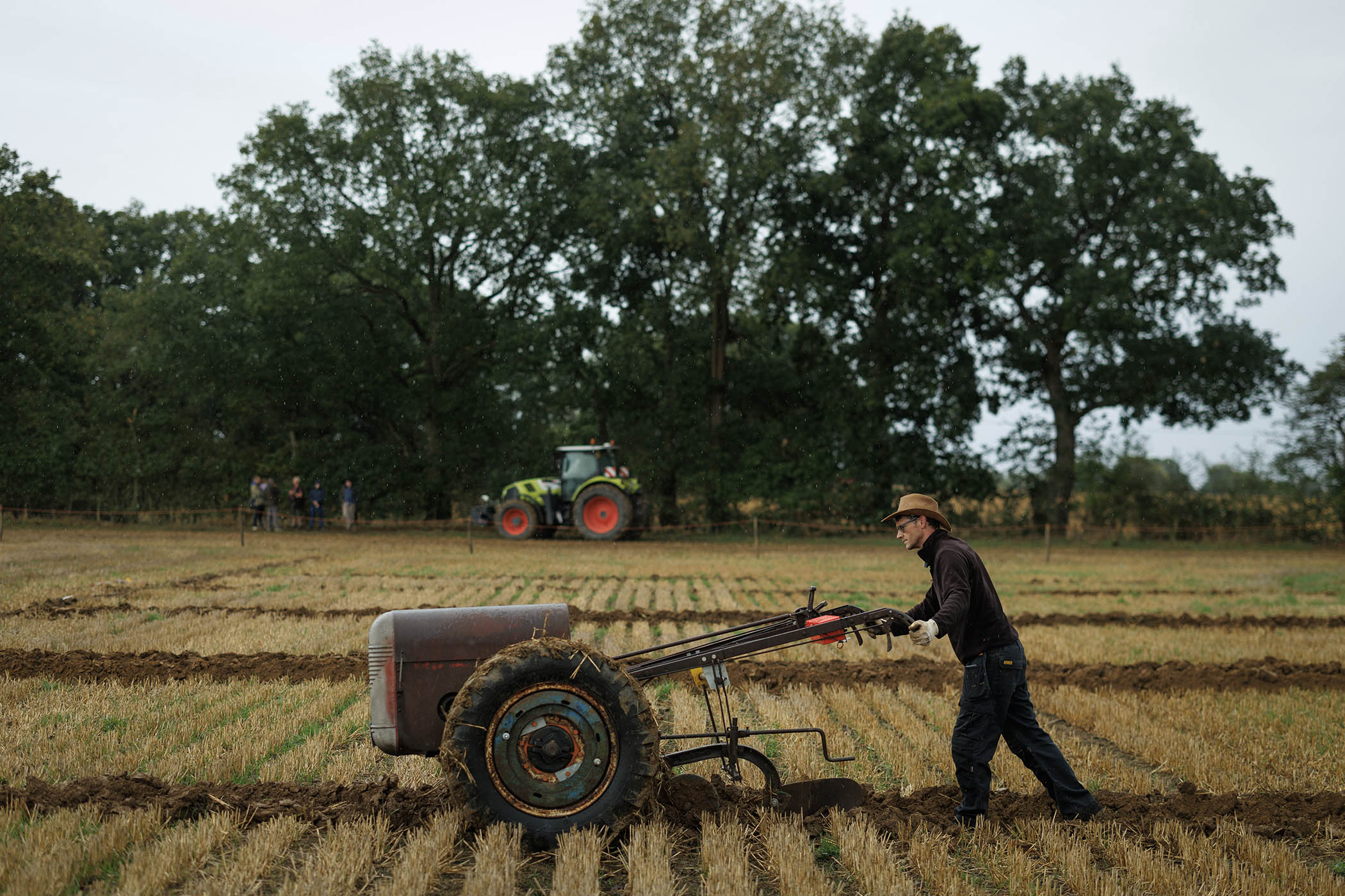 Insiders nervous as AI set to transform farming and healthcare