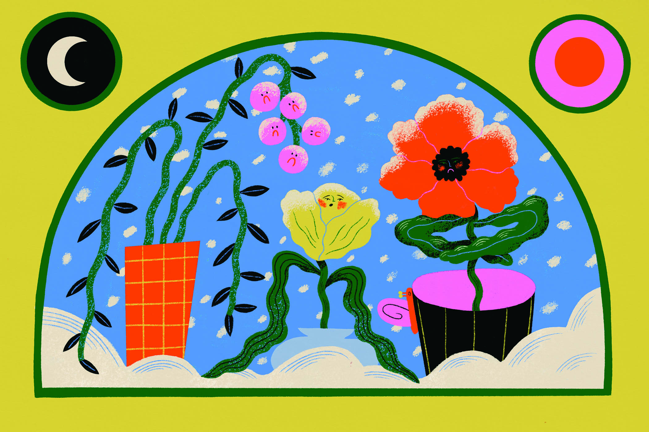 Plants feel the cold as much as we do