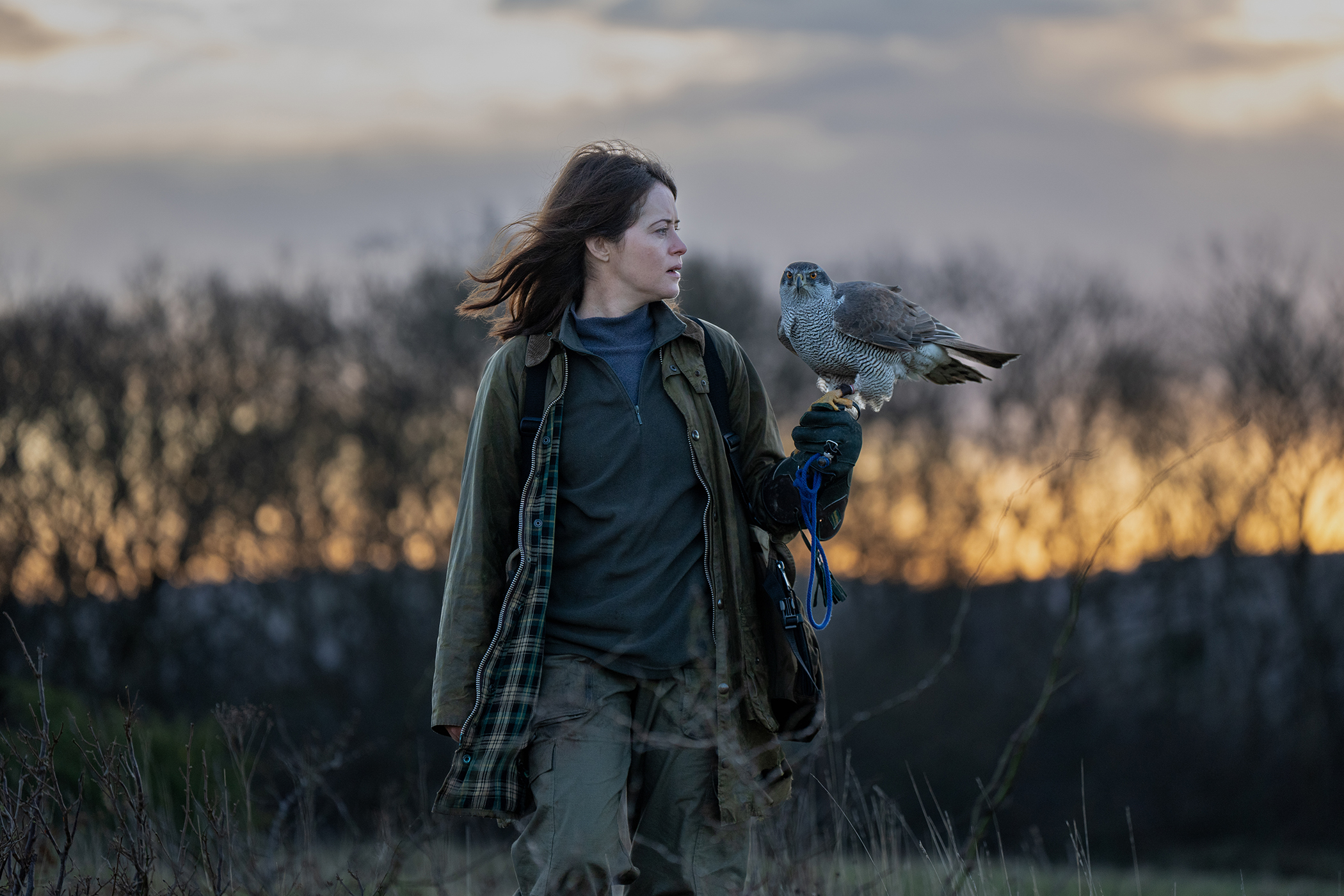 H Is for Hawk is a soaring portrait of life after death