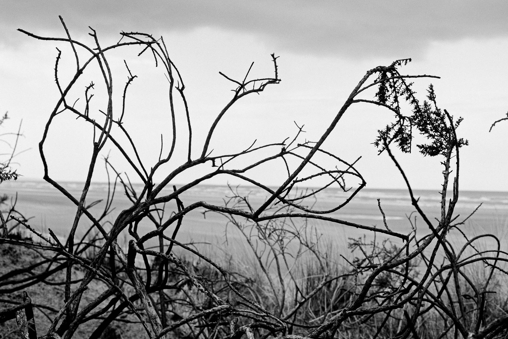 Poetry book of the month: Unsafe by Karen McCarthy Woolf