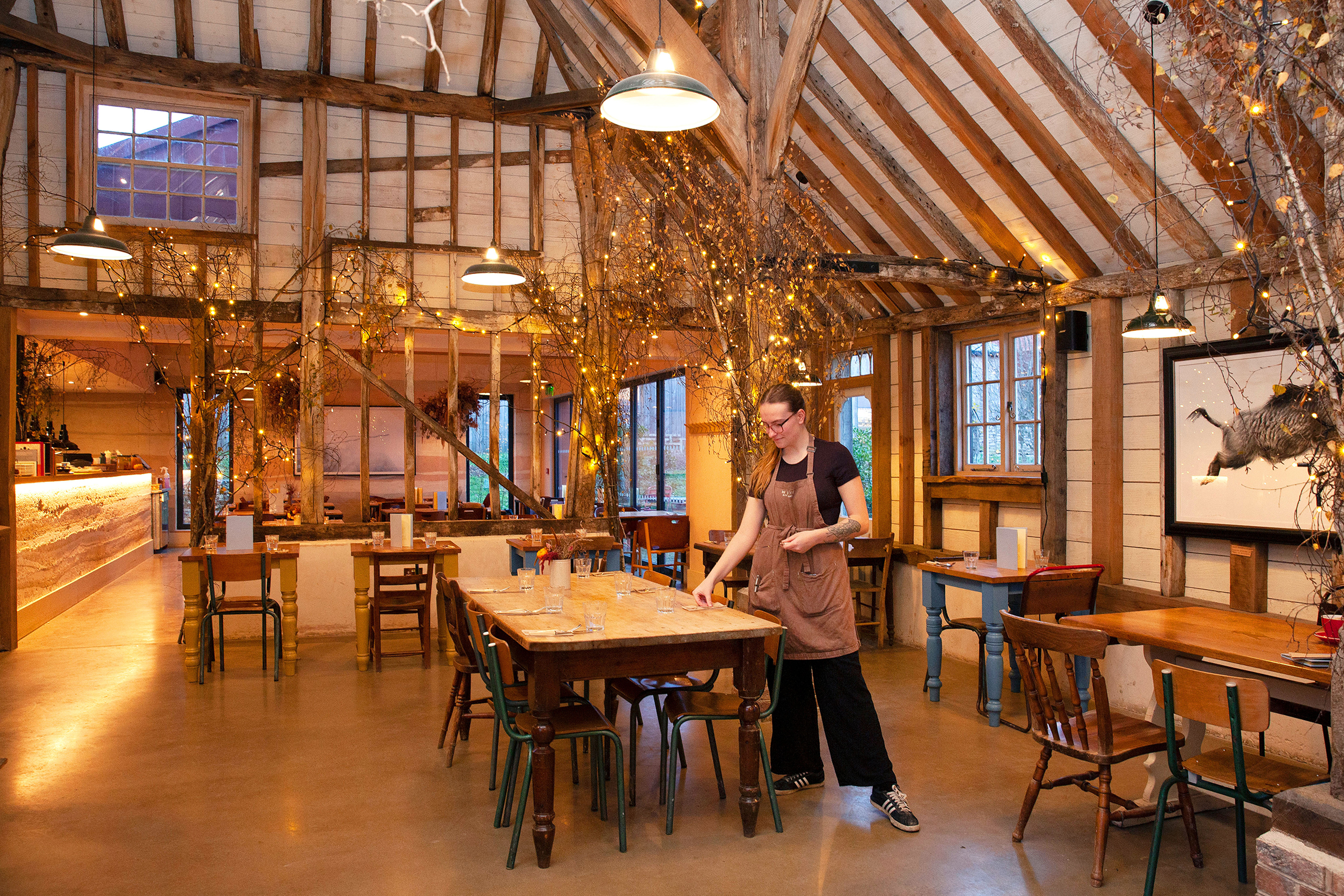 Knepp Wilding Kitchen, Worthing: ‘Feels as relaxed as the cows in the fields’