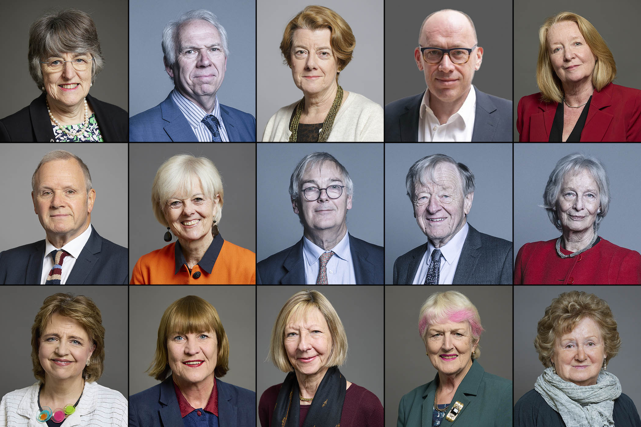 Peers respond to The Observer’s ‘Plot against democracy’ reports