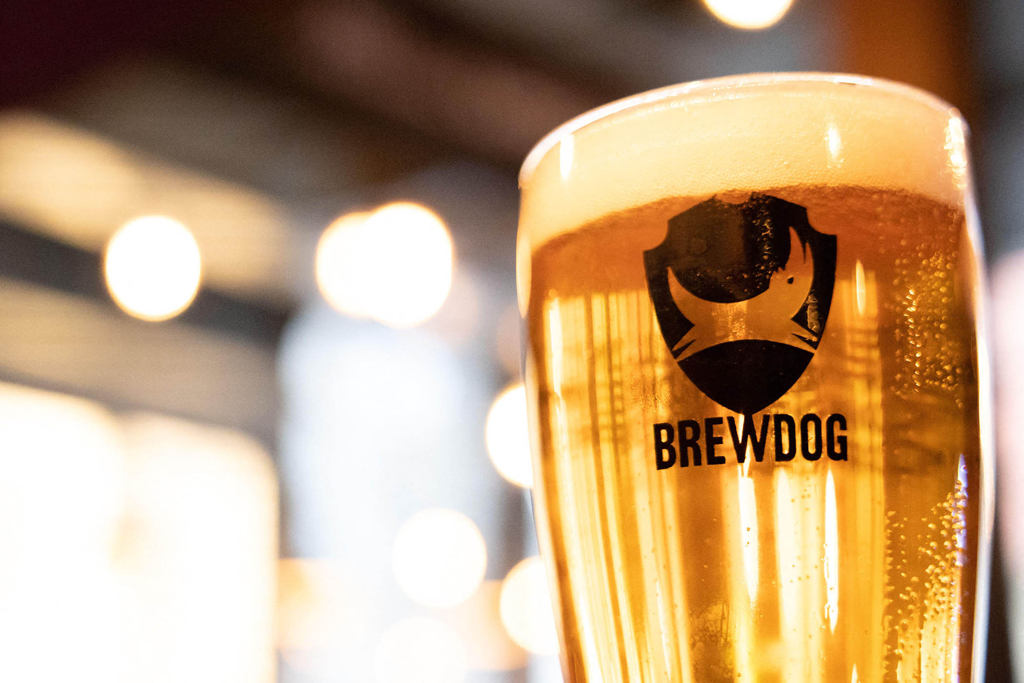 BrewDog puts itself up for sale after losses of £37m